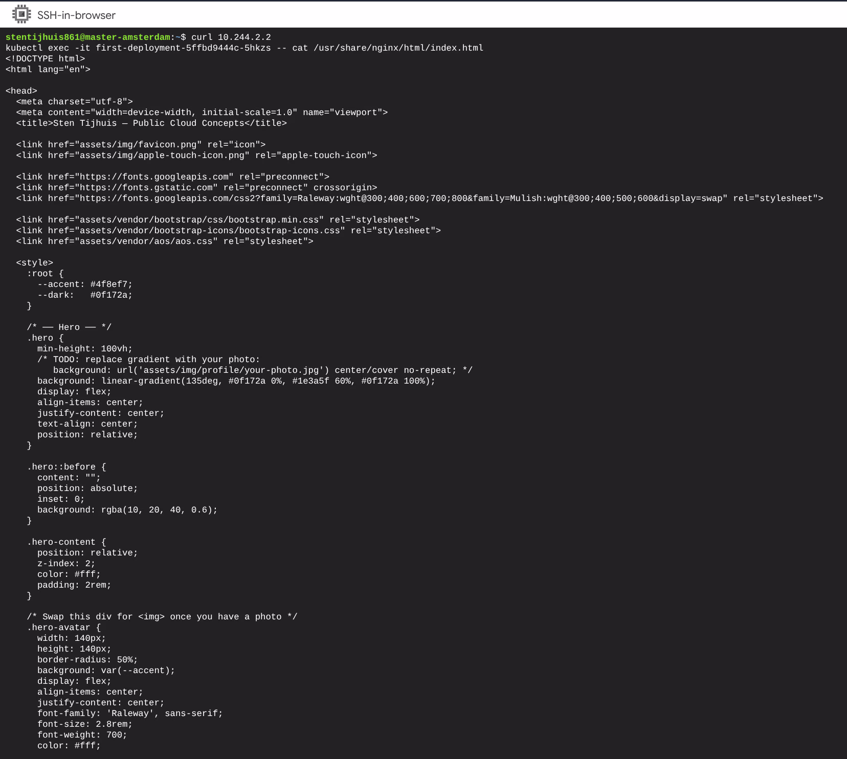 curl en kubectl exec uitvoer