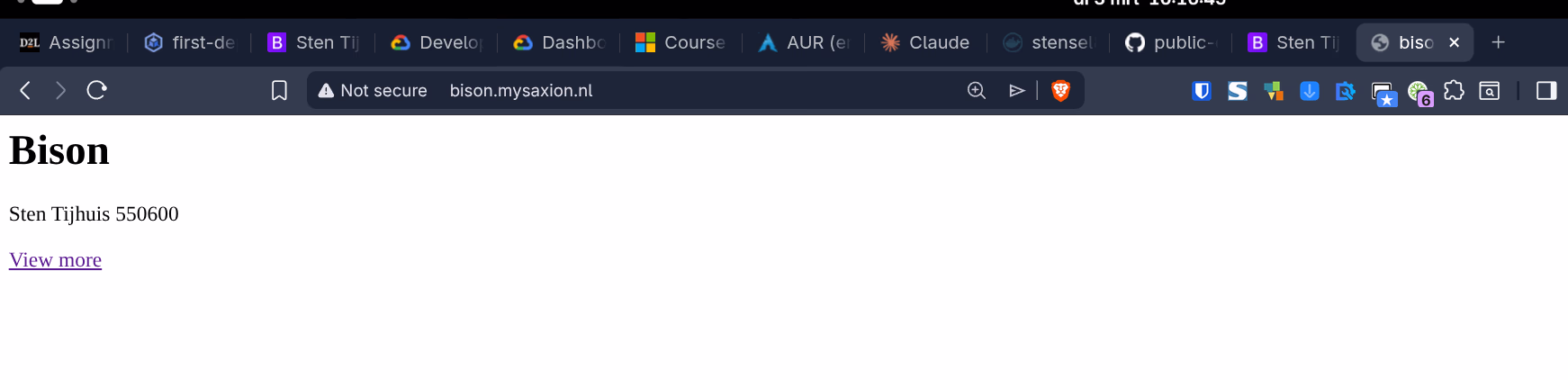bison.mysaxion.nl - Bison-applicatie bereikbaar via Ingress