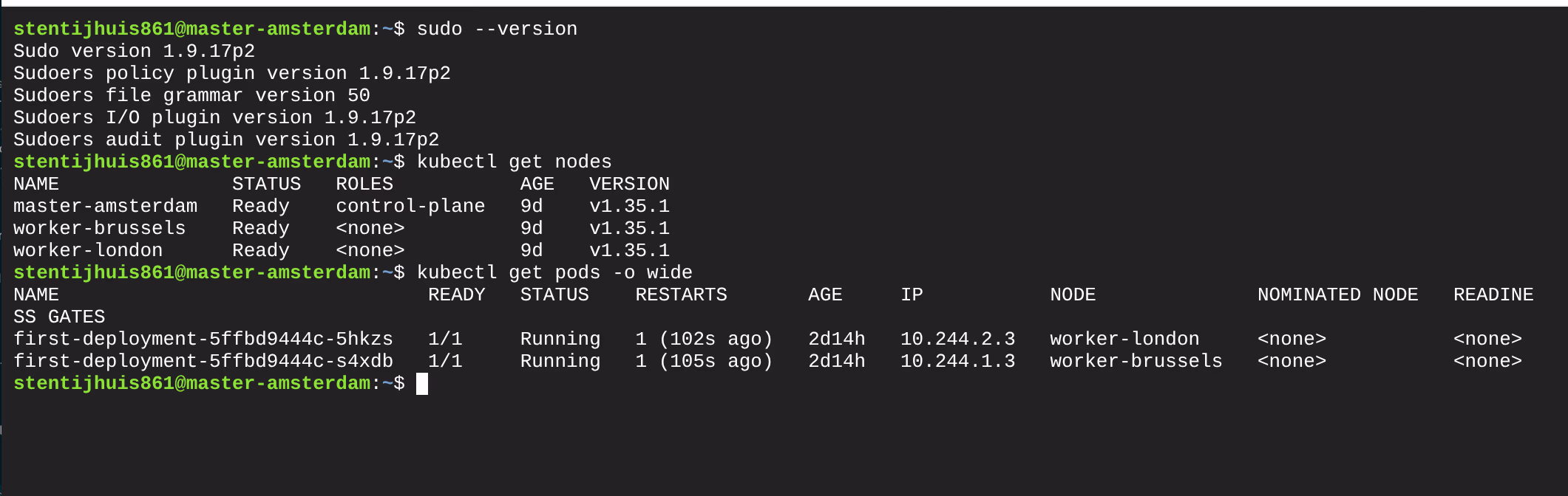 Deployment running - alle nodes Ready, pods Running met IPs