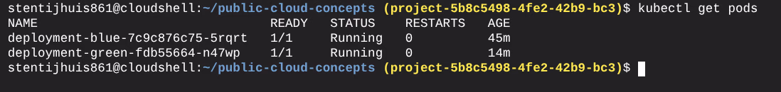 Overzicht van de draaiende pods met slot-labels