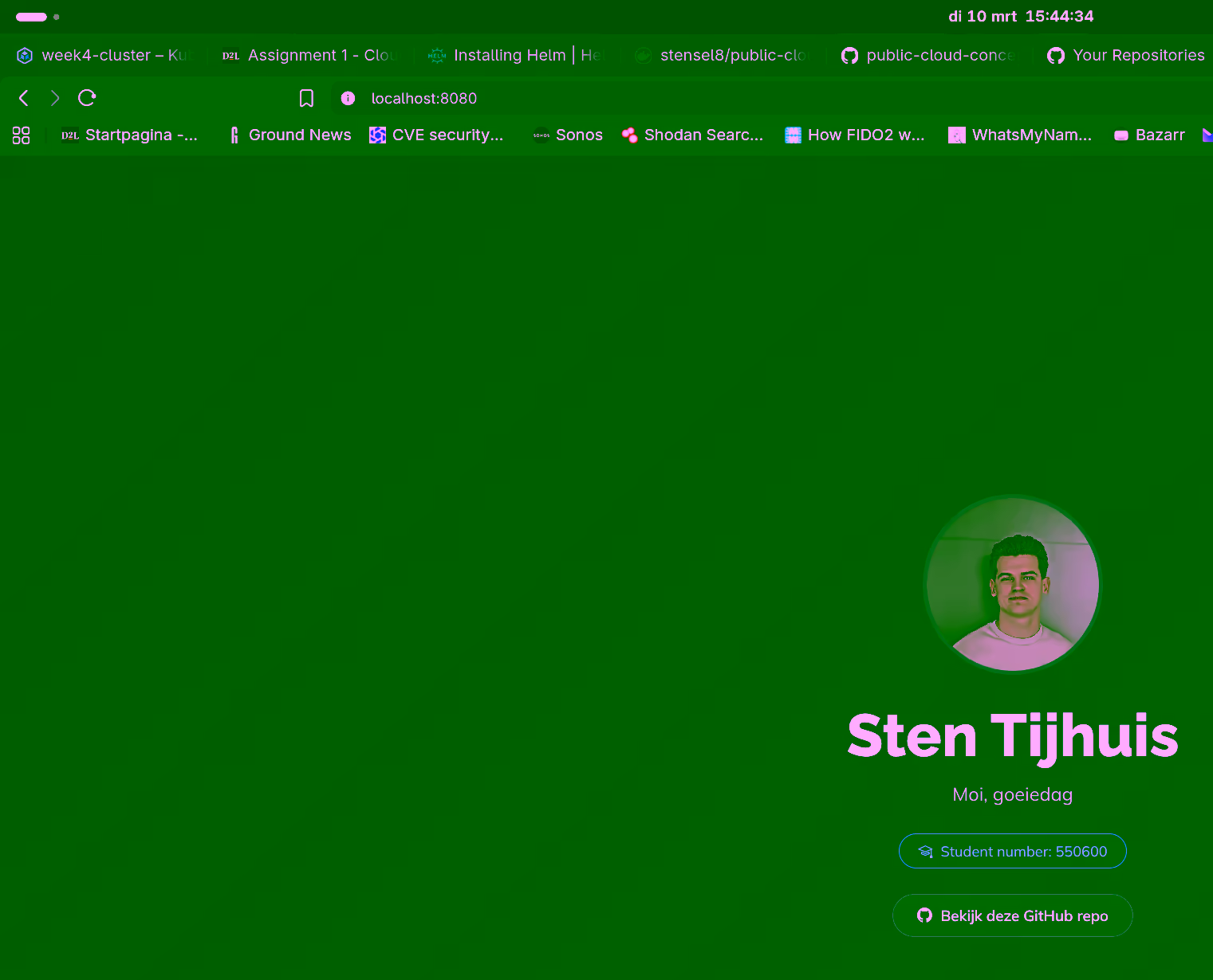 De static-site applicatie draait op localhost:8080